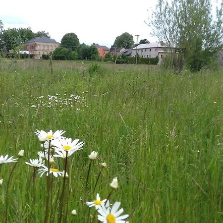 Apartmán Lipová Appartamento Ludvikovicky Esterno foto