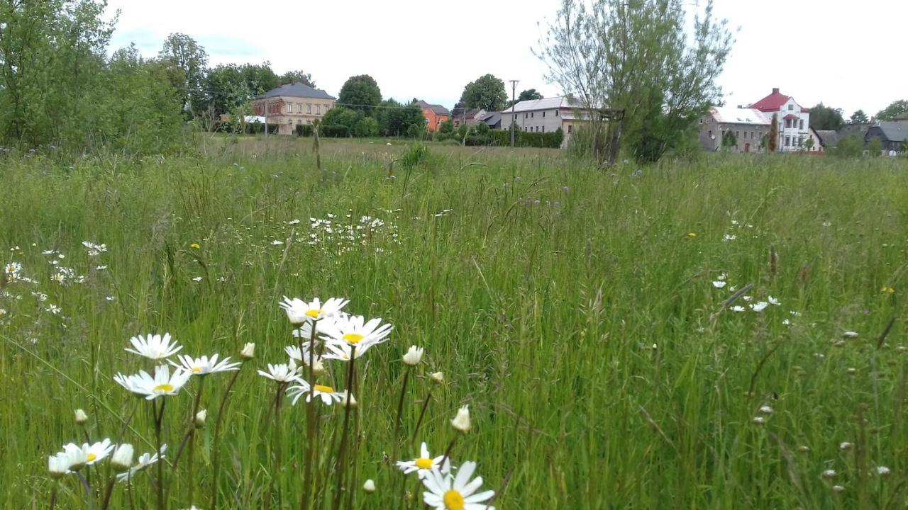 Apartmán Lipová Appartamento Ludvikovicky Esterno foto